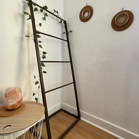 Apartment * Le Mistral De Chloe * *